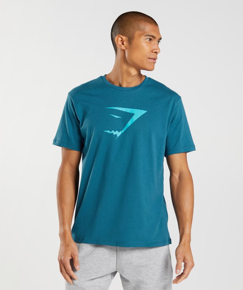 Koszulki Gymshark Sharkhead Infill Męskie Turkusowe | PL 846IEL